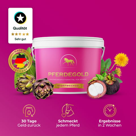 Ein rosafarbener Pferdegold Stoffwechsel-Becher mit verschiedenen Früchten und Kräutern steht auf einem violetten Hintergrund, darunter Qualitätsabzeichen und Icons. Das ideale Produkt zur Unterstützung des Stoffwechsels Ihres Pferdes.