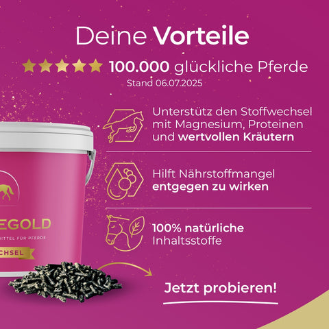 Infografik zu Pferdegold® Senioren Spezial - Gelenke, Mineral, Stoffwechsel: Vorteile des Pferdefutters als Pellets im Eimer und erklärender Text auf pinkem Hintergrund.