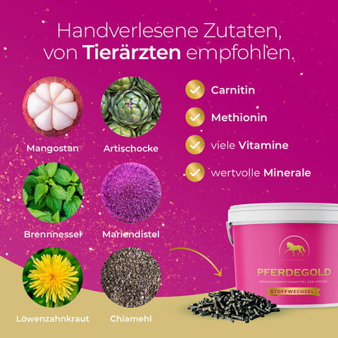 Sechs Pflanzen- und Futtermittel neben einem Eimer Pferdegold Stoffwechsel auf pinkem Hintergrund, dazu eine Liste der Inhaltsstoffe für das Produkt Pferdegold® Stoffwechsel.
