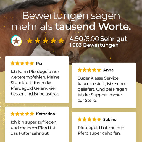 Zwei Pferde kuscheln sich aneinander hinter begeisterten deutschen Kundenrezensionen mit Fünf-Sterne-Bewertungen für Pferdegold's Stoffwechsel und andere Pferdegold Pferdeprodukte.