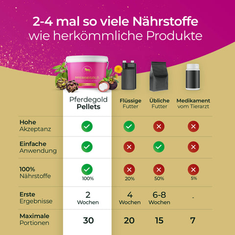 Vergleichstabelle von Pferdegold Stoffwechsel mit Flüssigfutter, Standardfutter und Tierarzneimitteln, die die einzigartigen Vorteile und Ergebnisse dieses innovativen Pferdegold-Produkts für das Wohlbefinden Ihres Pferdes aufzeigt.