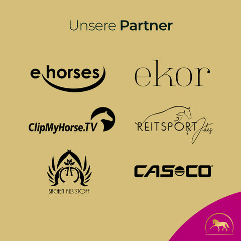 Logos von sechs Partnern, wie eHorses und ClipMyHorse.TV, zeigen unsere gemeinsame Leidenschaft für Pferdegold-Produkte wie Stoffwechsel.