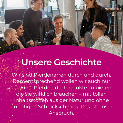 Fünf Menschen sitzen im Büro an einem Tisch; darunter ein Textfeld mit der Überschrift "Unsere Geschichte" und Infos zum Produkt Stoffwechsel von Pferdegold.