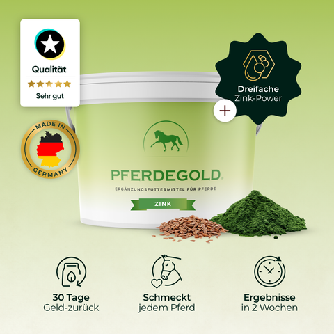 Pferdegold Zink horse supplement bucket features icons for quality, taste, immune support, Triple-Zink-Formel power, fast results, and Made in Germany.