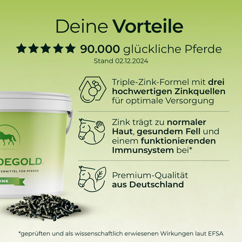 Grüne Infografik über Pferdegold® 2er Zink 30% als Ergänzungsfuttermittel für Pferde, mit Symbolen, den wichtigsten Vorteilen, dem Zinkgehalt zur Unterstützung des Immunsystems und der bewährten Qualität Made in Germany.