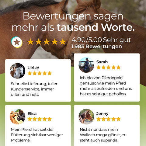 Customer reviews for Pferdegold Zink praise its Triple-Zink-Formel, noting positive effects on the Immunsystem and benefits of added Spirulina. Four users rate it highly for effectiveness.