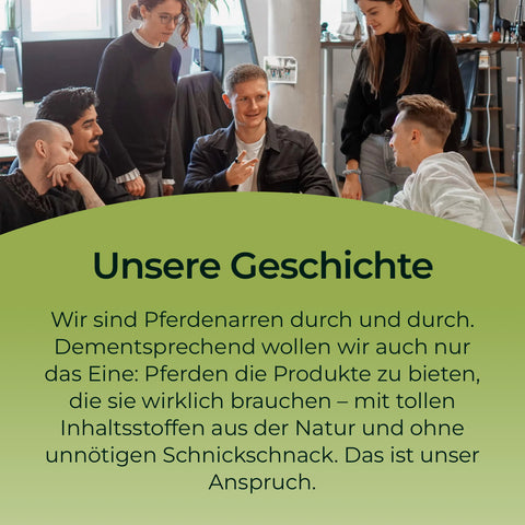 Vier junge Erwachsene tauschen in einem modernen Büro mit Pflanzen Tipps für ein starkes Immunsystem aus, wie Zink von Pferdegold. Sie lachen und genießen das Gespräch an ihrem Tisch.