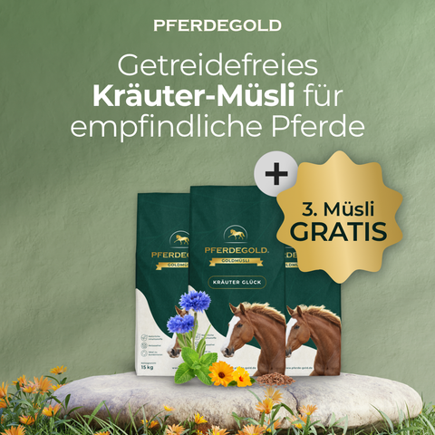 Holen Sie sich 3 Beutel Pferdegold® 3 für 2 - Goldmüsli Kräuterglück für empfindliche Pferde - bezahlen Sie nur 2! Ideal, um Ihr Pferd sanft mit Kräutermüsli zu versorgen.