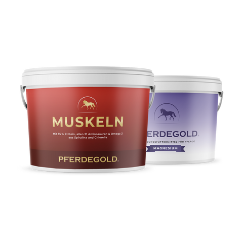 Das Pferdegold® Sport Balance Bundle enthält zwei Ergänzungswannen für Pferde: eine rot markierte Muskeln (pflanzliche Proteine) und eine lila markierte Magnesium.