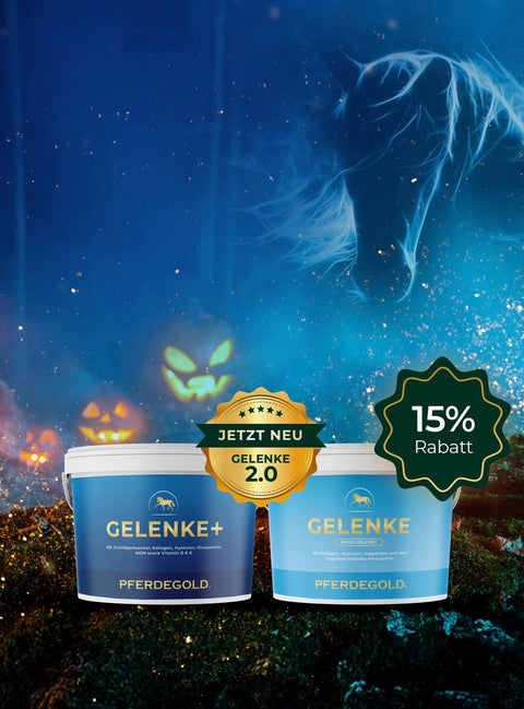 Das neue Gelenke  feiert Premiere