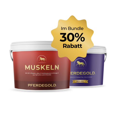 Trainings Duo (Muskeln + Nerven) - 30% Rabatt