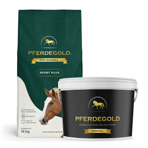 Pferdegold Basic Bundle: Turnierchamp enthält einen Beutel und eine Wanne mit Pferdefutter für sportlich aktive Pferde, mit Pferdemotiven und einem goldenen Logo auf einer grün-schwarzen Verpackung.