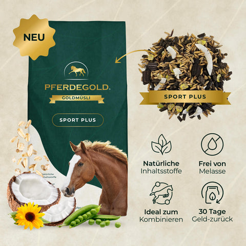 Beutel mit Pferdegold Basic Bundle: Turnierchamp Pferdefutter für aktive Sportpferde, mit Inhaltsstoff-Highlights, Muskelaufbau-Vorteilen, Funktionssymbolen und einer Pferde-Illustration.