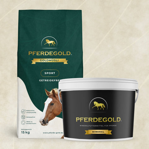 Basic Bundle: Turnierchamp getreidefrei (Sport Getreidefrei / Mineral)
