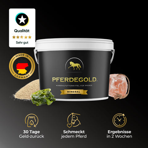 Basic Bundle: Turnierchamp getreidefrei (Sport Getreidefrei / Mineral)