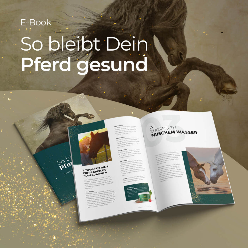 E-Book So bleibt Dein Pferd gesund – Pferdegold®