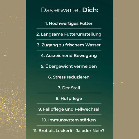 E-Book So bleibt Dein Pferd gesund