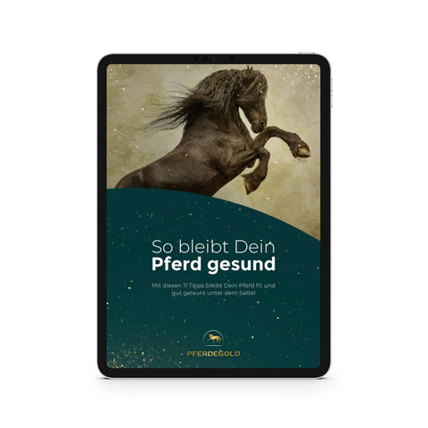 Ein Tablet zeigt das E-Book "So bleibt Dein Pferd gesund" von Pferdegold mit deutschen Tipps zur Pferdeernährung und Hufpflege für eine optimale Pferdegesundheit.
