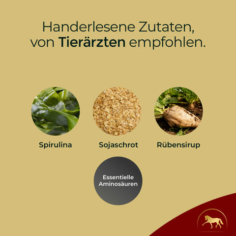 Drei Zutatenbilder mit den Bezeichnungen Spirulina, Sojamehl, Rübensirup; Text hebt tierärztlich empfohlene, handverlesene Zutaten in Pferdegold Muskeln Probepackung für Ausdauer und optimalen Muskelaufbau hervor.