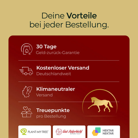 Infografik: Vorteile einer Muskeln Probepackung-Bestellung bei Pferdegold - 30 Tage Rückgabe, kostenloser Versand, klimafreundlich, Treuepunkte und Tipps für Rittigkeit & Ausdauer.