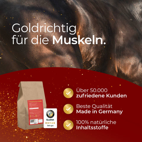 Die rote Muskeln Probepackung von Pferdegold ist mit Qualitätsplaketten und deutschen Texten versehen, die für Muskelaufbau, Ausdauer und natürliche Inhaltsstoffe zur Leistungssteigerung werben.