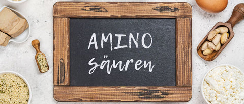 Muskelaufbau beim Pferd: Warum Aminosäuren für starke Pferdemuskeln unverzichtbar sind