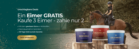 Eine Frau reitet auf einem Pferd hinter drei Eimern mit Beilagen; der deutsche Text wirbt für eine Aktion "3 kaufen, 2 bezahlen".