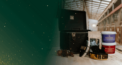 Eine schwarze Geschenkbox mit Pflegeprodukten, Bürsten und festlichen Dekorationen auf einem Holztisch neben einem kleinen Baum.