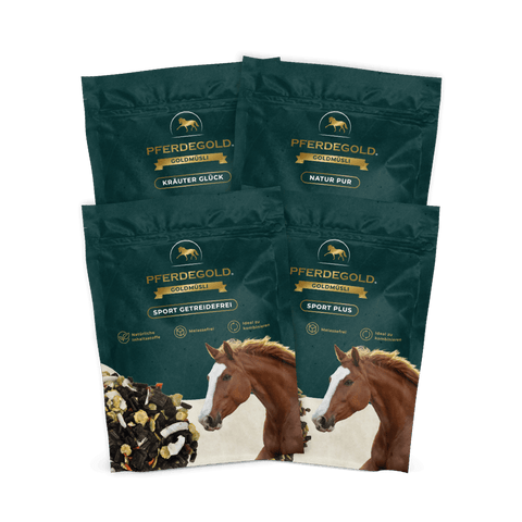 Vier grüne Verpackungen von Pferdegold® Gratis 4er Müsli Tester, jede mit einem Pferdebild und einzigartigen Geschmacksetiketten.