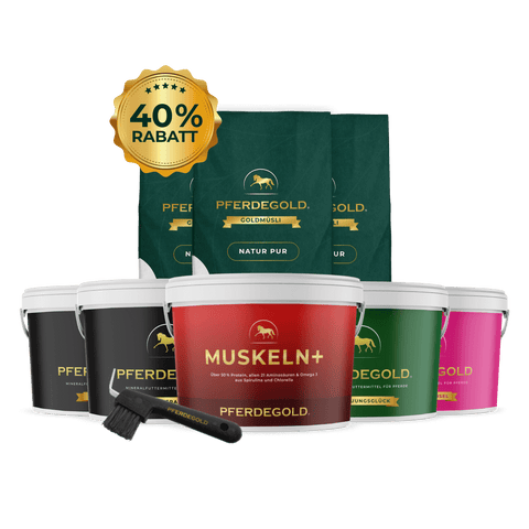 Pferdegold® Aufbaufutter Spezial + Gratis Hufauskratzer mit einer 40% Rabatt-Plakette angezeigt.
