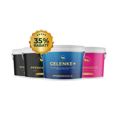 Vier Pferdegold® Senioren Spezial Ergänzungsbecher, einer davon mit einer 35% Rabatt-Plakette, auf weißem Hintergrund.