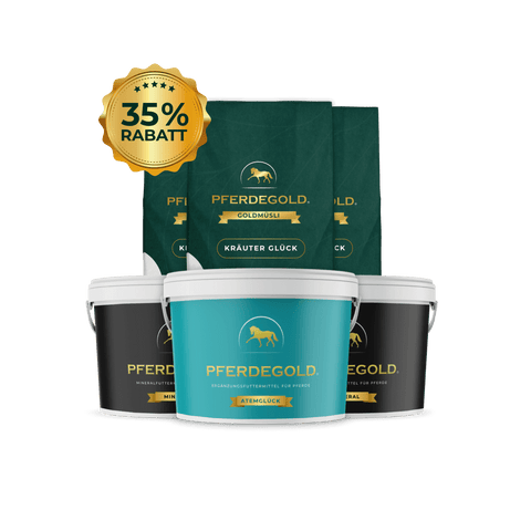 Eimer und Säcke mit Pferdegold® Winter-Vital-Pferdefutter, mit Goldplakette und 35% Rabatt.