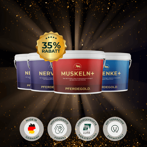 Drei Pferdegold®-Wintertrainings-Allrounder-Wannen, jeweils mit "35% Rabatt"-Plakette und Produktsymbolen, auf dunklem, glitzerndem Hintergrund.