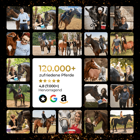Collage von glücklichen Menschen mit Pferden, 4,8/5 Sternen und Text auf Deutsch: "120.000+ zufriedene Pferde" für Pferdegold® Wintertrainings Allrounder.