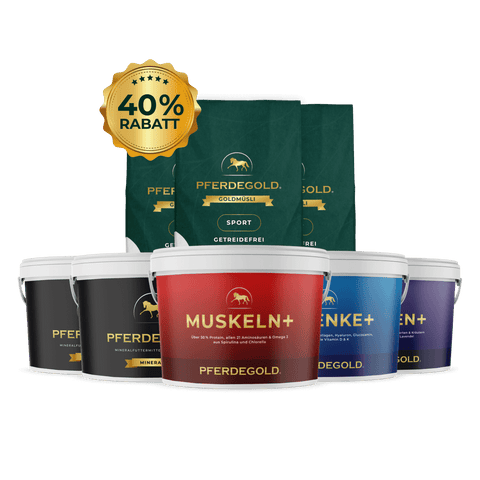 Pferdegold® Wintertraining Spezial Ergänzungsfuttermittel und Futtermittel, die mit einer 40% Rabatt-Plakette über den Produkten angezeigt werden.