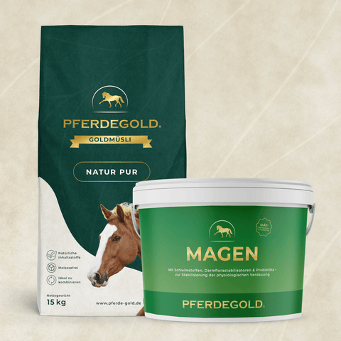 Das Pferdegold Verdauungs Bundle: BalanceFit enthält einen grünen Pferdefutterbeutel und einen "Magen"-Eimer für die Verdauungsgesundheit mit Pferdebildern und faserreichem Pferdefutter zur schonenden Ernährung und Darmunterstützung.