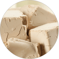 Bierhefe & 750 Mrd. lebende Hefekulturen