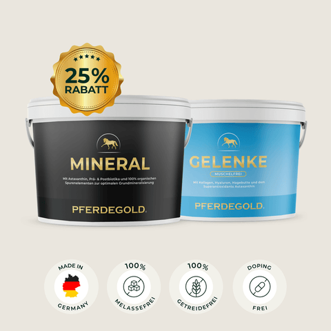 Zwei Pferdegold® Mineral 2.0 & Gelenke Muschelfrei Eimer mit deutschem Etikett heben Rabatte, Premiumqualität und Inhaltsstoffe hervor und bieten eine muschelfreie Rezeptur für Pferde mit organischen Spurenelementen.