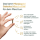 Hand hält ein längliches Futterstück, daneben Text zu Vorteilen von Pferdegold® Mineral 2.0 & Gelenke Muschelfrei - die muschelfreie Alternative mit organischen Spurenelementen zur Unterstützung der Gelenke Ihres Pferdes.