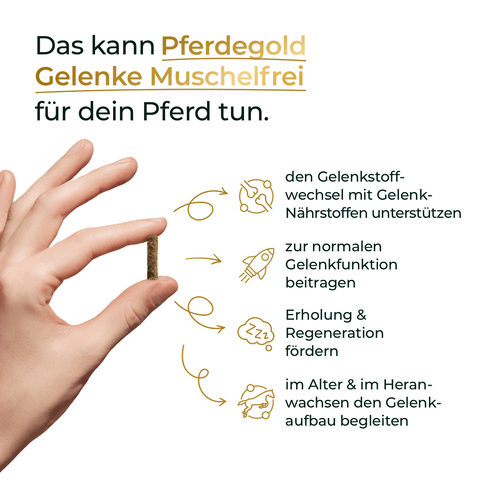 Hand hält ein längliches Futterstück, daneben Text zu Vorteilen von Pferdegold® Mineral 2.0 & Gelenke Muschelfrei - die muschelfreie Alternative mit organischen Spurenelementen zur Unterstützung der Gelenke Ihres Pferdes.