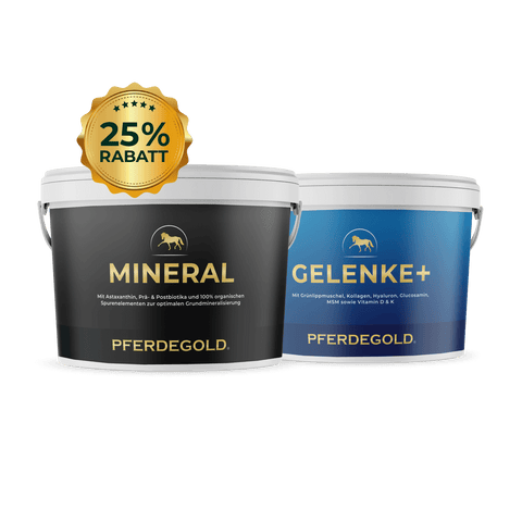 Zwei Pferdegold® Wannen, Mineral 2.0 & Gelenke+, unterstützen Sportpferde mit optimaler Mineralstoffversorgung und Kollagen - jetzt mit 25% Rabatt.