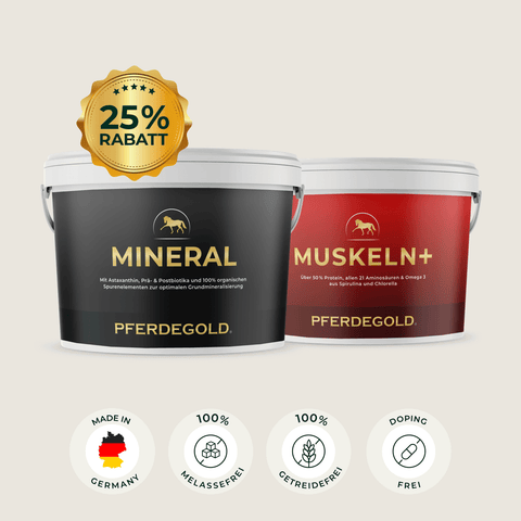 Zwei Eimer Pferdegold® Mineral 2.0 & Muskeln+ mit 25% Rabatt-Plakette und Funktionssymbolen auf der Unterseite, ideal für die Nährstoffergänzung Pferde - reich an Aminosäuren und Proteinen.