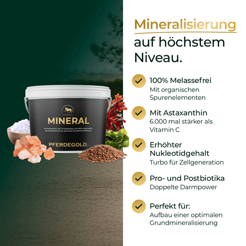 Ein Becher Pferdegold® Mineral 2.0 & 2er Nerven mit Symbolen und Text, die die Vorteile wie Omega-3-Fettsäuren für nervöse Pferde hervorheben, auf grünem Hintergrund.