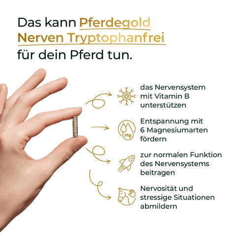 Hand hält Kapsel, daneben Text zu Vorteilen von Pferdegold® Mineral 2.0 & 2er Nerven - ideal für nervöse Pferde und angereichert mit wertvollen Omega-3-Fettsäuren für das Pferdenervensystem.