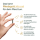 Eine Hand hält ein Pellet; daneben stehen die Vorteile von Pferdegold® Mineral 2.0 & Nerven+ sowie die Grundmineralisierung für Pferde in Stichpunkten.