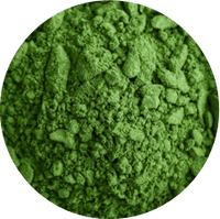 Chlorella
