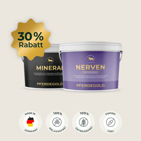 Zwei Dosen mit der Aufschrift „Pferdegold® Cool durch den Herbst“, ideal für nervöse Pferde in stressigen Situationen, mit einem 30-prozentigen Rabatt-Siegel und Produkt-Symbolen darunter.
