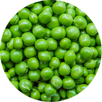 Erbsenprotein
