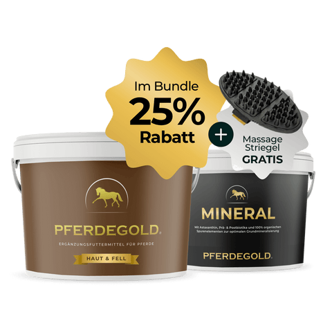 Zwei Pferdegold® Fellwechsel Power Duo Haut & Fell + Mineralwannen mit kostenloser Massagebürste und 25% Rabattmarke in deutscher Sprache.