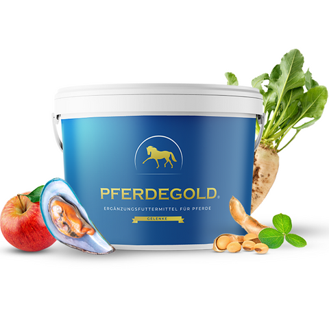 Pferdegold Gelenke